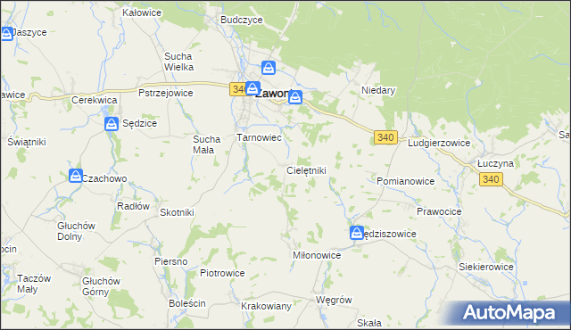 mapa Cielętniki gmina Zawonia, Cielętniki gmina Zawonia na mapie Targeo