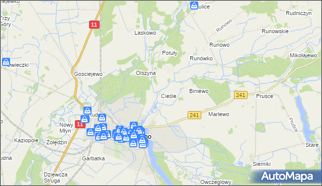 mapa Cieśle gmina Rogoźno, Cieśle gmina Rogoźno na mapie Targeo