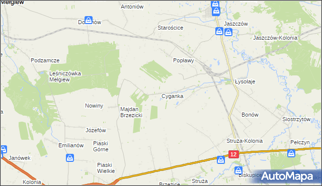 mapa Cyganka gmina Milejów, Cyganka gmina Milejów na mapie Targeo