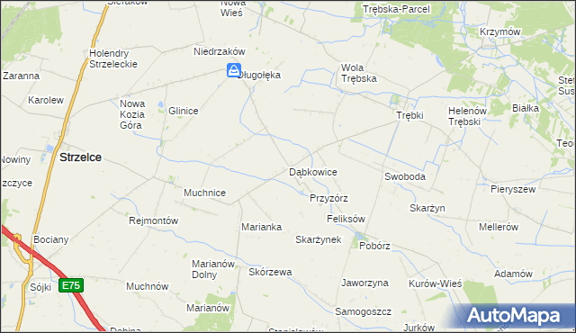 mapa Dąbkowice gmina Strzelce, Dąbkowice gmina Strzelce na mapie Targeo