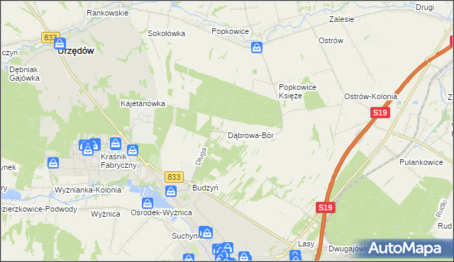 mapa Dąbrowa-Bór, Dąbrowa-Bór na mapie Targeo