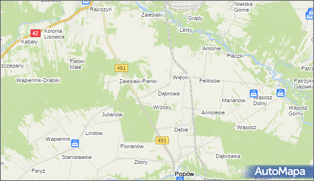 mapa Dąbrowa gmina Popów, Dąbrowa gmina Popów na mapie Targeo
