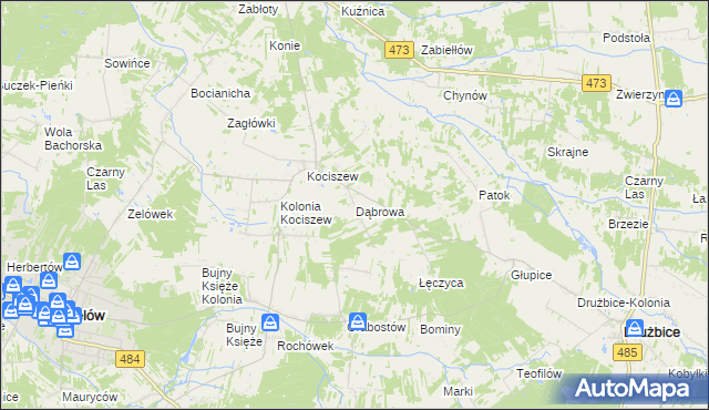 mapa Dąbrowa gmina Zelów, Dąbrowa gmina Zelów na mapie Targeo