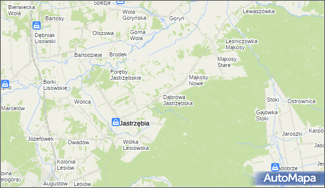 mapa Dąbrowa Jastrzębska, Dąbrowa Jastrzębska na mapie Targeo