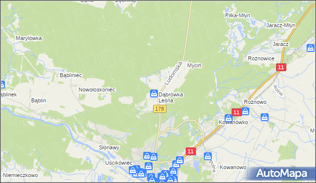 mapa Dąbrówka Leśna, Dąbrówka Leśna na mapie Targeo