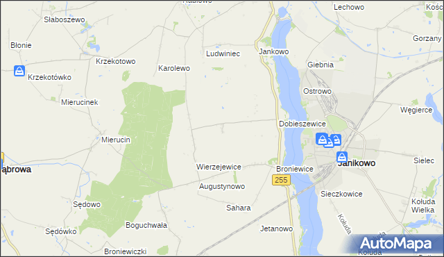 mapa Dobieszewiczki, Dobieszewiczki na mapie Targeo