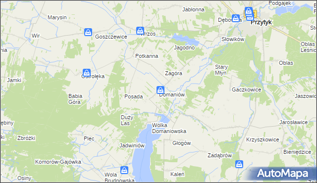 mapa Domaniów gmina Przytyk, Domaniów gmina Przytyk na mapie Targeo