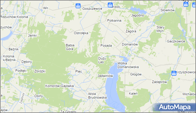 mapa Duży Las gmina Przytyk, Duży Las gmina Przytyk na mapie Targeo