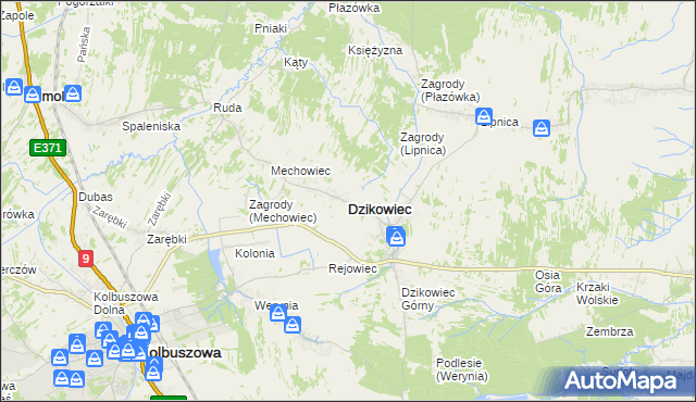 mapa Dzikowiec powiat kolbuszowski, Dzikowiec powiat kolbuszowski na mapie Targeo