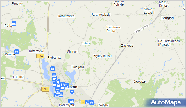 mapa Frydrychowo gmina Ryńsk, Frydrychowo gmina Ryńsk na mapie Targeo