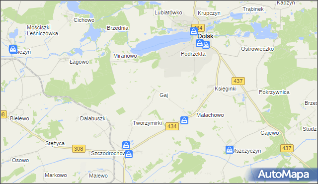 mapa Gaj gmina Gostyń, Gaj gmina Gostyń na mapie Targeo