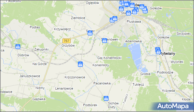 mapa Gaj Koniemłocki, Gaj Koniemłocki na mapie Targeo