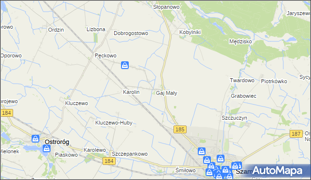 mapa Gaj Mały gmina Obrzycko, Gaj Mały gmina Obrzycko na mapie Targeo