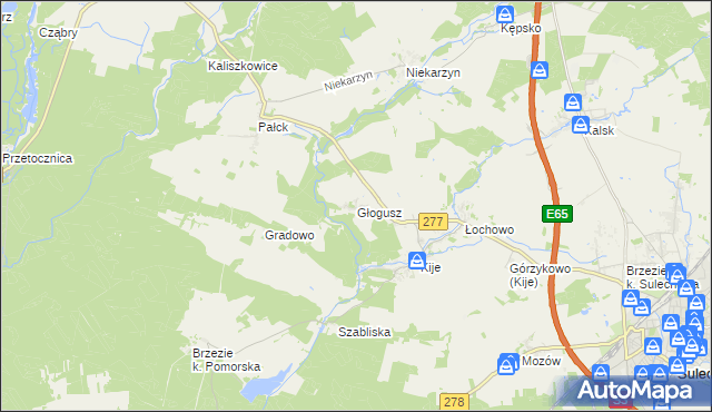 mapa Głogusz, Głogusz na mapie Targeo
