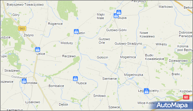 mapa Gołocin, Gołocin na mapie Targeo