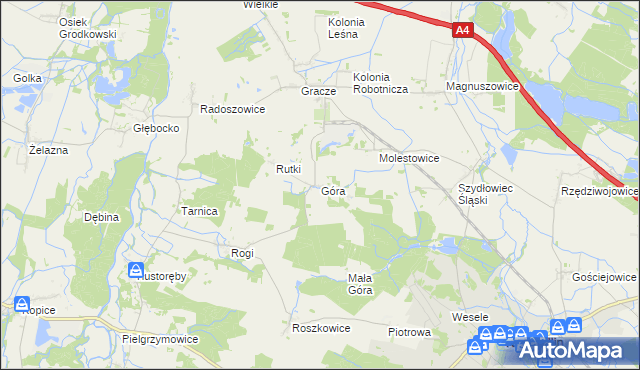 mapa Góra gmina Niemodlin, Góra gmina Niemodlin na mapie Targeo