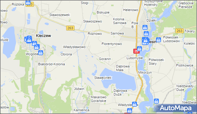 mapa Goranin gmina Ślesin, Goranin gmina Ślesin na mapie Targeo