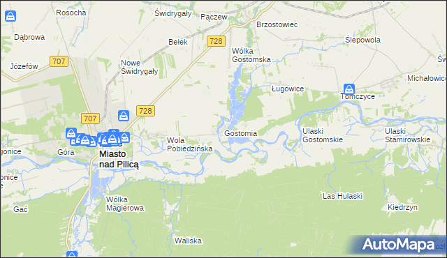 mapa Gostomia gmina Nowe Miasto nad Pilicą, Gostomia gmina Nowe Miasto nad Pilicą na mapie Targeo