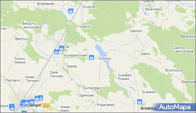 mapa Grzybno gmina Brodnica, Grzybno gmina Brodnica na mapie Targeo