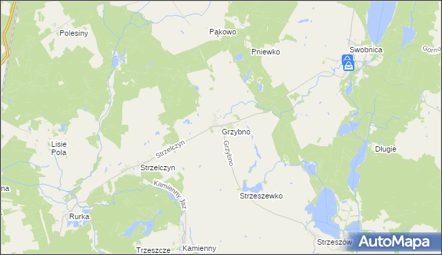 mapa Grzybno gmina Chojna, Grzybno gmina Chojna na mapie Targeo