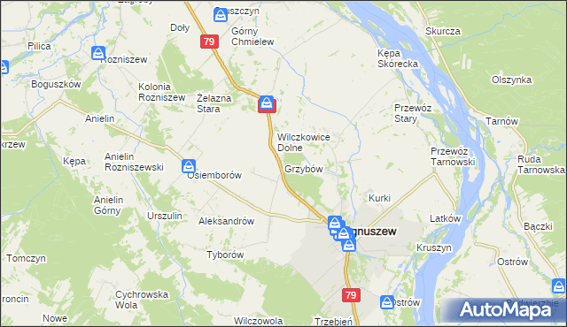 mapa Grzybów gmina Magnuszew, Grzybów gmina Magnuszew na mapie Targeo