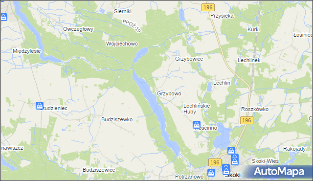 mapa Grzybowo gmina Skoki, Grzybowo gmina Skoki na mapie Targeo