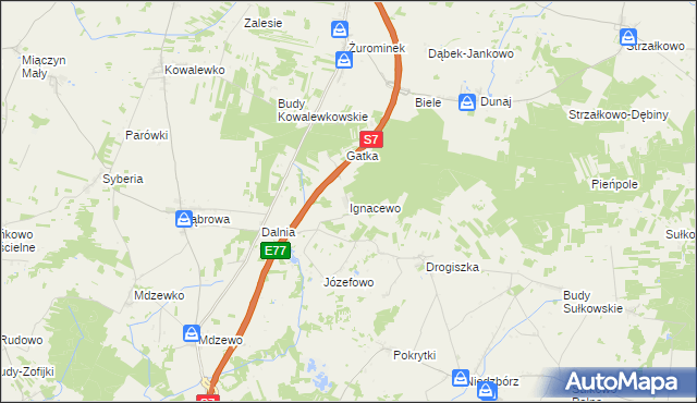 mapa Ignacewo gmina Strzegowo, Ignacewo gmina Strzegowo na mapie Targeo