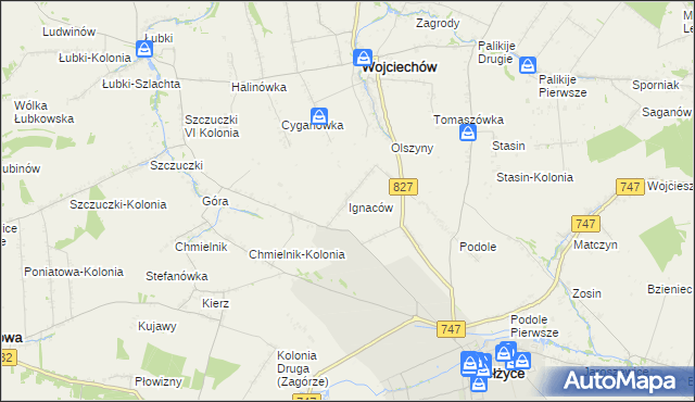 mapa Ignaców gmina Wojciechów, Ignaców gmina Wojciechów na mapie Targeo
