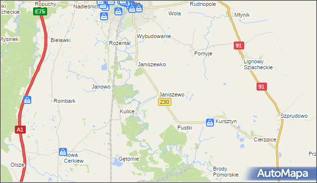 mapa Janiszewo gmina Pelplin, Janiszewo gmina Pelplin na mapie Targeo