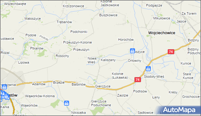 mapa Kaliszany gmina Wojciechowice, Kaliszany gmina Wojciechowice na mapie Targeo