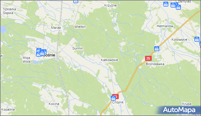 mapa Kałkowskie, Kałkowskie na mapie Targeo