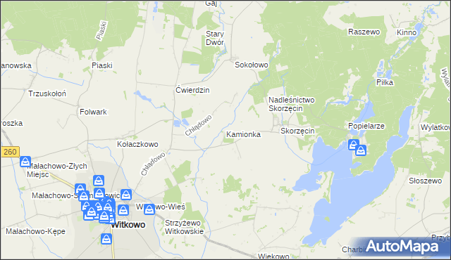mapa Kamionka gmina Witkowo, Kamionka gmina Witkowo na mapie Targeo