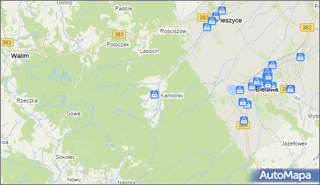 mapa Kamionki gmina Pieszyce, Kamionki gmina Pieszyce na mapie Targeo