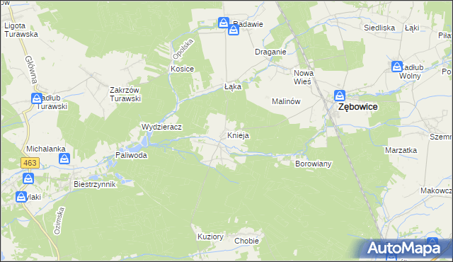 mapa Knieja gmina Zębowice, Knieja gmina Zębowice na mapie Targeo
