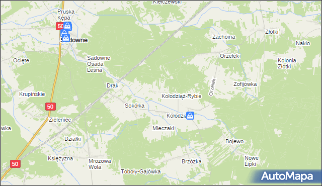 mapa Kołodziąż-Rybie, Kołodziąż-Rybie na mapie Targeo