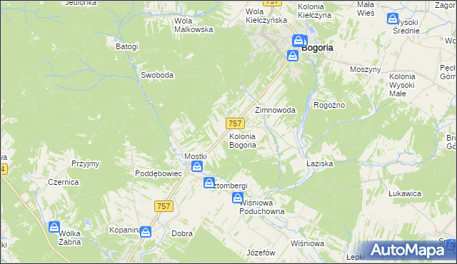 mapa Kolonia Bogoria, Kolonia Bogoria na mapie Targeo