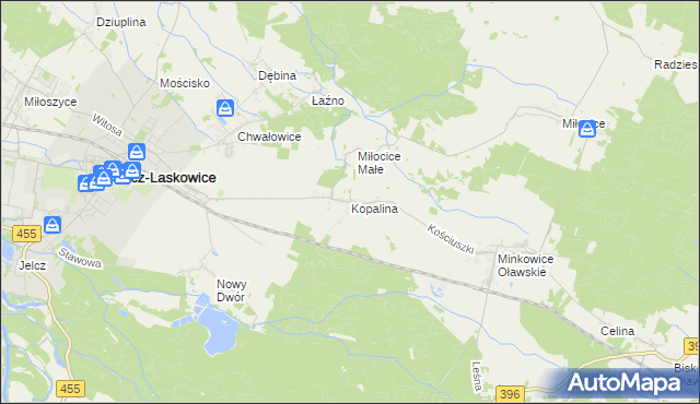 mapa Kopalina gmina Jelcz-Laskowice, Kopalina gmina Jelcz-Laskowice na mapie Targeo