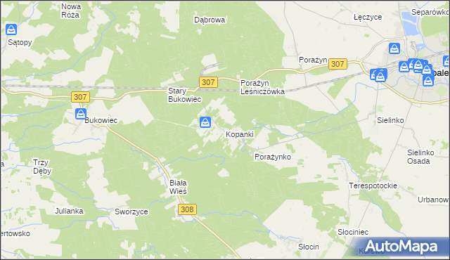 mapa Kopanki gmina Opalenica, Kopanki gmina Opalenica na mapie Targeo