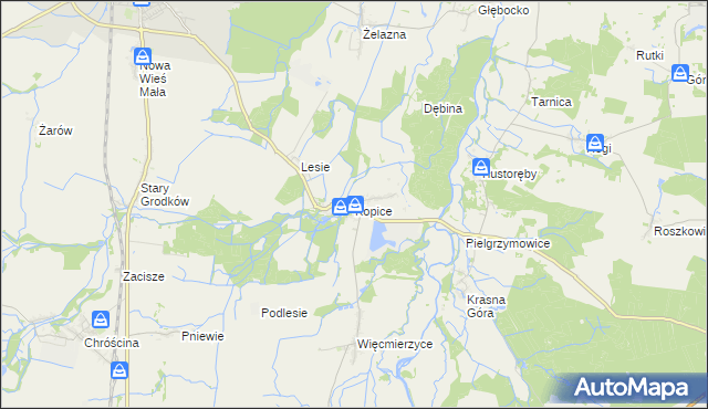 mapa Kopice gmina Grodków, Kopice gmina Grodków na mapie Targeo