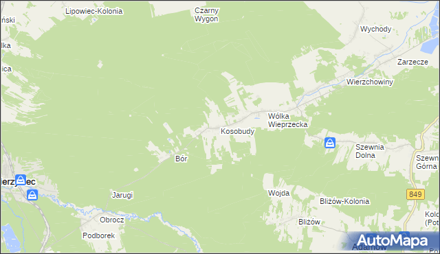 mapa Kosobudy gmina Zwierzyniec, Kosobudy gmina Zwierzyniec na mapie Targeo