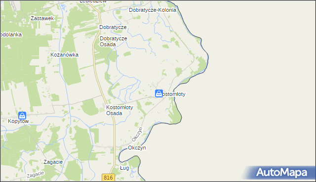 mapa Kostomłoty gmina Kodeń, Kostomłoty gmina Kodeń na mapie Targeo