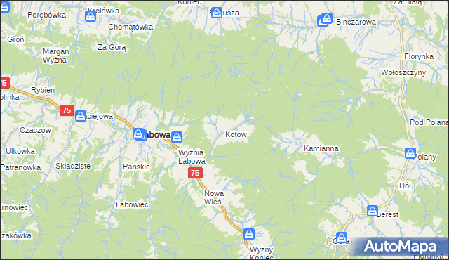mapa Kotów gmina Łabowa, Kotów gmina Łabowa na mapie Targeo