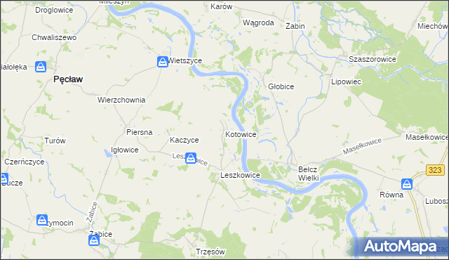 mapa Kotowice gmina Pęcław, Kotowice gmina Pęcław na mapie Targeo
