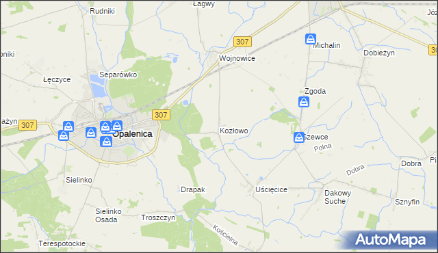 mapa Kozłowo gmina Opalenica, Kozłowo gmina Opalenica na mapie Targeo