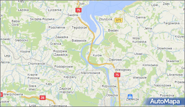 mapa Kurów gmina Chełmiec, Kurów gmina Chełmiec na mapie Targeo