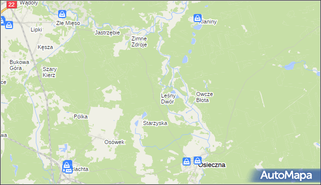 mapa Leśny Dwór gmina Osieczna, Leśny Dwór gmina Osieczna na mapie Targeo