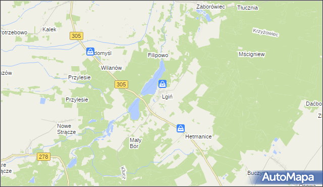 mapa Lgiń, Lgiń na mapie Targeo