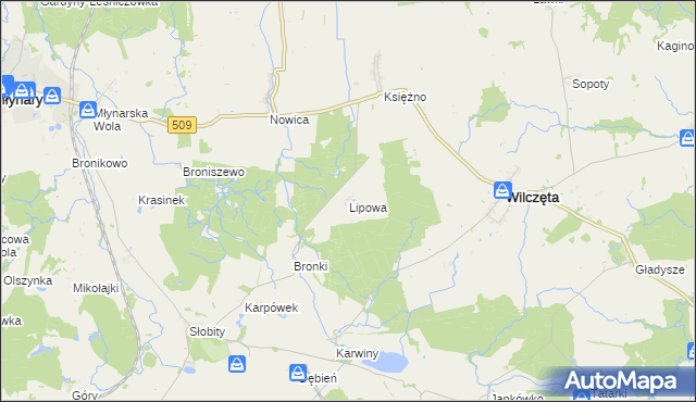 mapa Lipowa gmina Wilczęta, Lipowa gmina Wilczęta na mapie Targeo