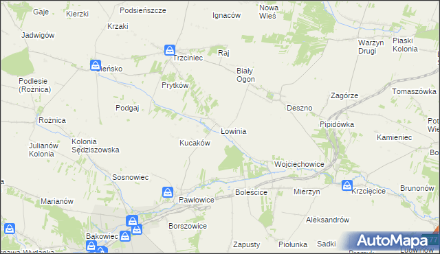 mapa Łowinia, Łowinia na mapie Targeo