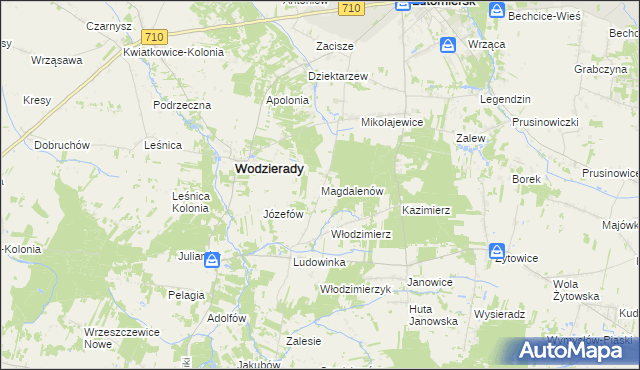 mapa Magdalenów gmina Wodzierady, Magdalenów gmina Wodzierady na mapie Targeo